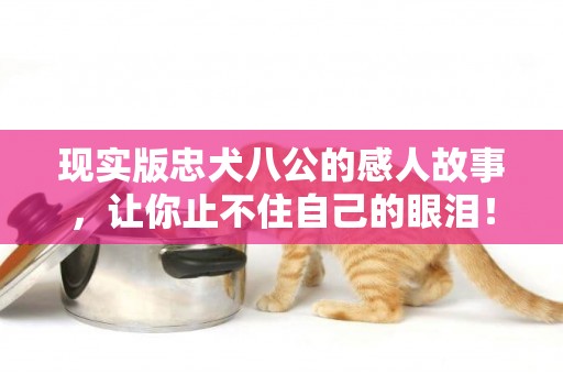 現實版忠犬八公的感人故事，讓你止不住自己的眼淚！
