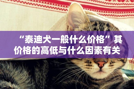 “泰迪犬一般什么價格”其價格的高低與什么因素有關