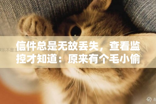 信件總是無故丟失，查看監控才知道：原來有個毛小偷！