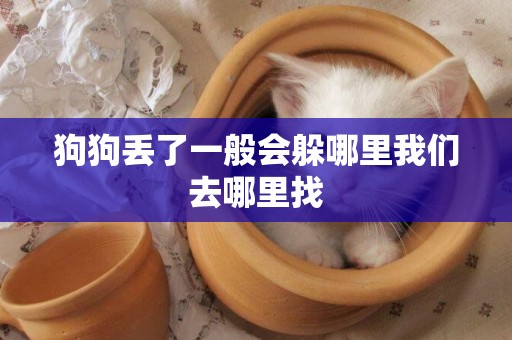 狗狗丟了一般會躲哪里我們去哪里找