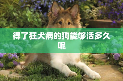 得了狂犬病的狗能夠活多久呢