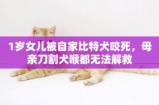 1歲女兒被自家比特犬咬死，母親刀割犬喉都無法解救
