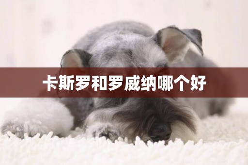卡斯羅和羅威納哪個好