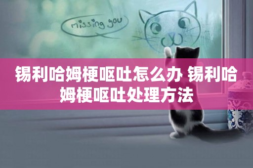 錫利哈姆梗嘔吐怎么辦 錫利哈姆梗嘔吐處理方法