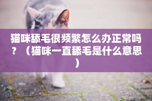 貓咪舔毛很頻繁怎么辦正常嗎？（貓咪一直舔毛是什么意思）
