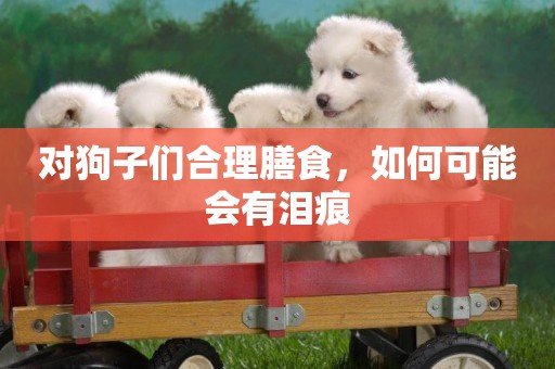 對狗子們合理膳食，如何可能會有淚痕