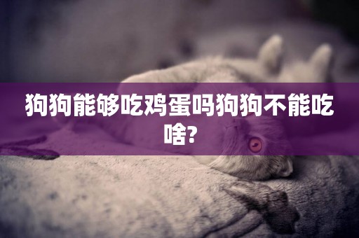 狗狗能夠吃雞蛋嗎狗狗不能吃啥?