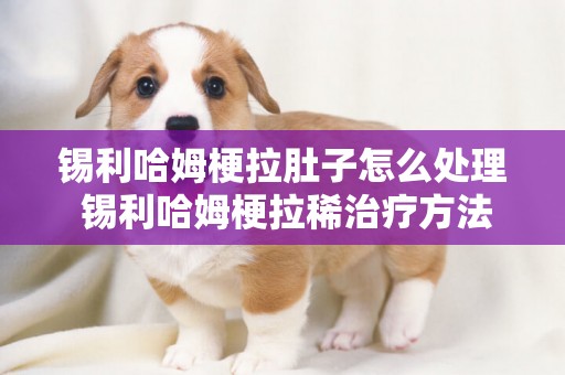 錫利哈姆梗拉肚子怎么處理 錫利哈姆梗拉稀治療方法