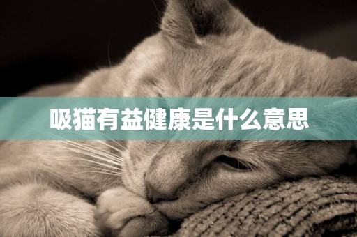 吸貓有益健康是什么意思