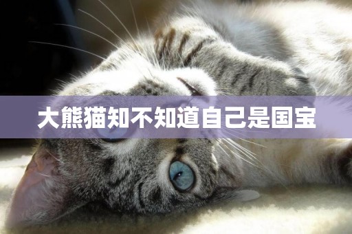 大熊貓知不知道自己是國寶