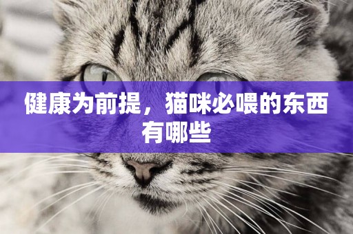 健康為前提，貓咪必喂的東西有哪些
