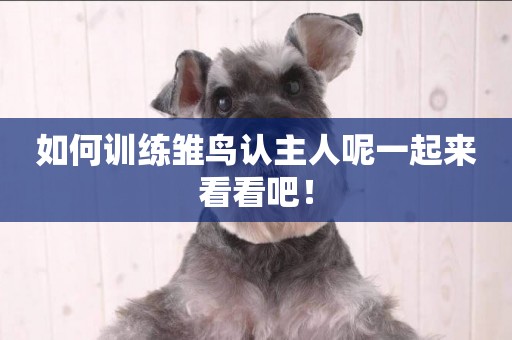 如何訓練雛鳥認主人呢一起來看看吧！