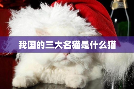 我國的三大名貓是什么貓