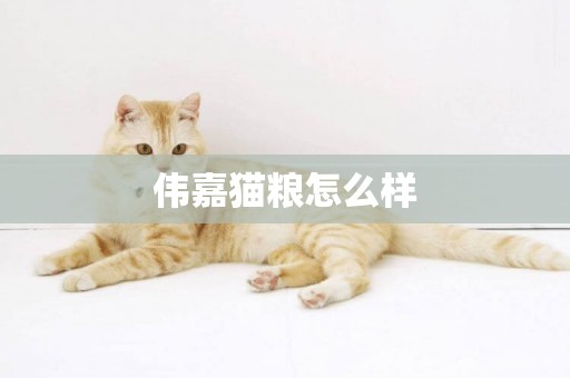 偉嘉貓糧怎么樣