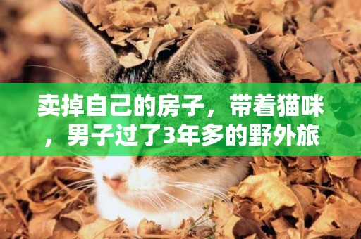 賣掉自己的房子，帶著貓咪，男子過了3年多的野外旅行生活