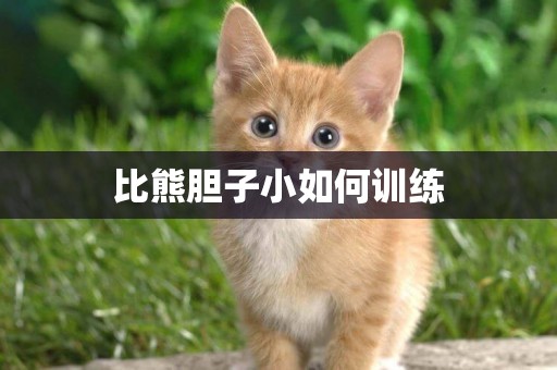 比熊膽子小如何訓練