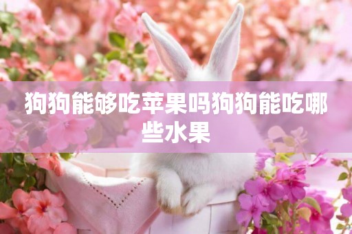 狗狗能夠吃蘋果嗎狗狗能吃哪些水果