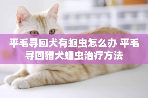 平毛尋回犬有蛔蟲怎么辦 平毛尋回獵犬蛔蟲治療方法