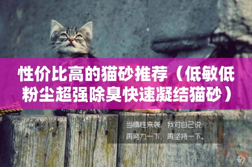 性價比高的貓砂推薦（低敏低粉塵超強除臭快速凝結貓砂）