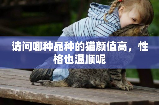 請問哪種品種的貓顏值高，性格也溫順呢