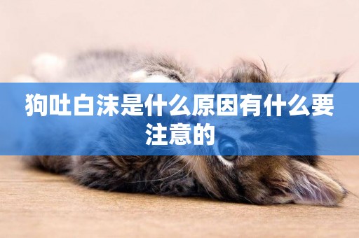 狗吐白沫是什么原因有什么要注意的