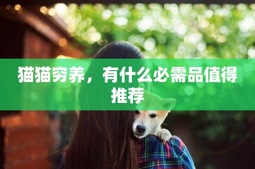 貓貓窮養，有什么必需品值得推薦