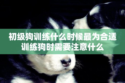 初級狗訓練什么時候最為合適訓練狗時需要注意什么