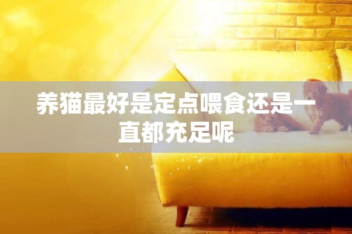 養貓最好是定點喂食還是一直都充足呢
