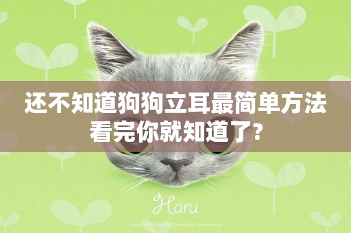 還不知道狗狗立耳最簡單方法看完你就知道了?