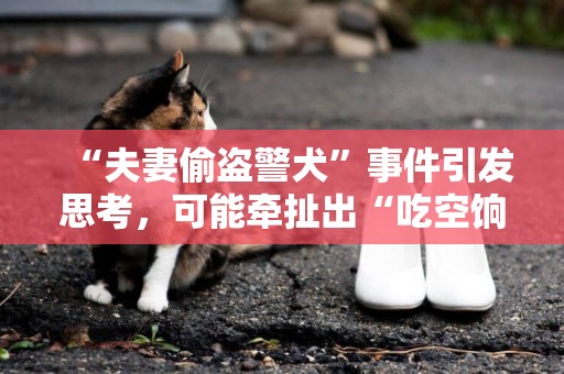 “夫妻偷盜警犬”事件引發思考，可能牽扯出“吃空餉”的腐敗作風