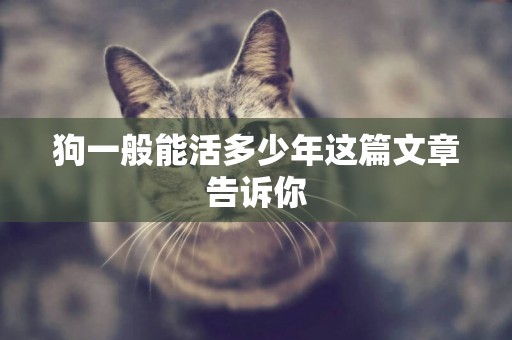 狗一般能活多少年這篇文章告訴你