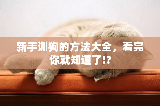 新手訓狗的方法大全，看完你就知道了!?