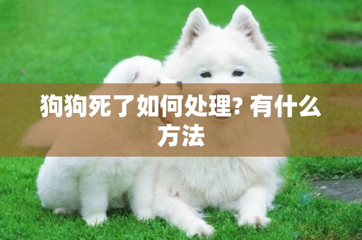 狗狗死了如何處理? 有什么方法