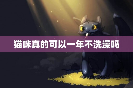 貓咪真的可以一年不洗澡嗎