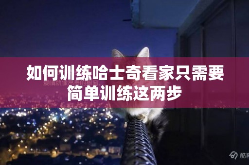 如何訓練哈士奇看家只需要簡單訓練這兩步