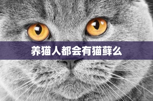 養貓人都會有貓蘚么