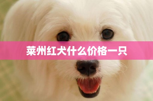 萊州紅犬什么價格一只