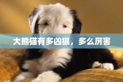 大熊貓有多兇狠，多么厲害