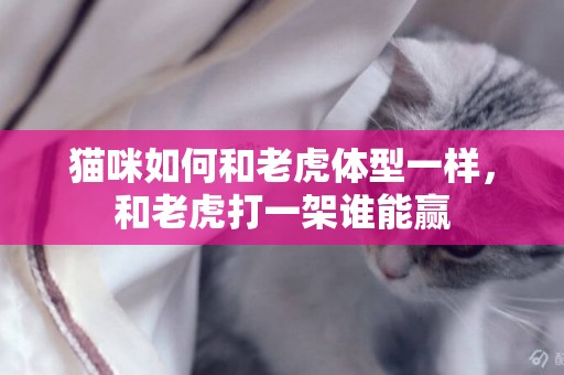 貓咪如何和老虎體型一樣，和老虎打一架誰能贏