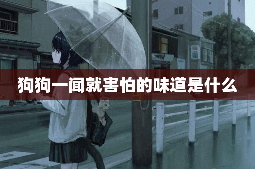 狗狗一聞就害怕的味道是什么