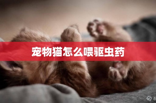 寵物貓怎么喂驅蟲藥
