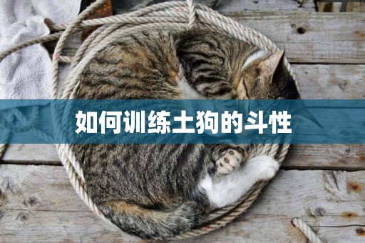 如何訓練土狗的斗性
