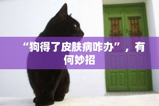 “狗得了皮膚病咋辦”，有何妙招