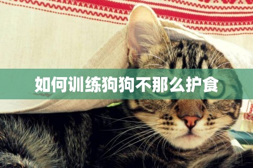 如何訓練狗狗不那么護食
