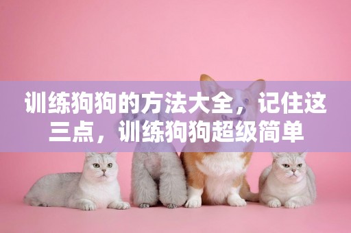 訓練狗狗的方法大全，記住這三點，訓練狗狗超級簡單