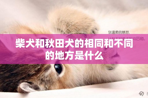 柴犬和秋田犬的相同和不同的地方是什么