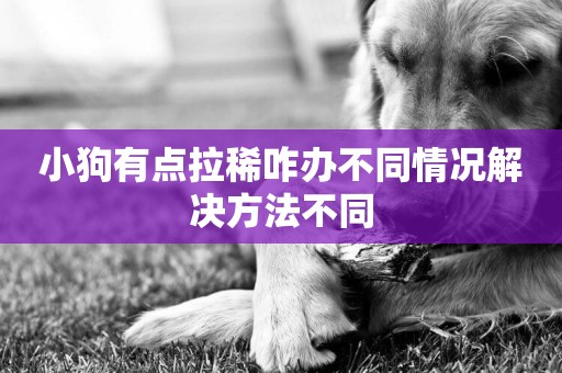 小狗有點拉稀咋辦不同情況解決方法不同