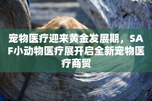 寵物醫療迎來黃金發展期，SAF小動物醫療展開啟全新寵物醫療商貿