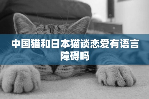 中國貓和日本貓談戀愛有語言障礙嗎