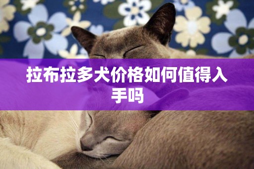 拉布拉多犬價格如何值得入手嗎